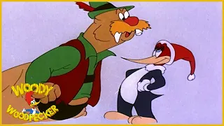 Woody Woodpecker | Well Oiled | Old Cartoon | Woody Woodpecker Full Episodes