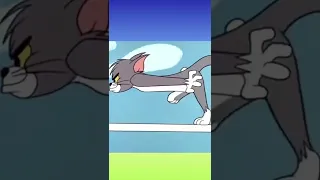 Evolution of Tom and Jerry #trending #shorts