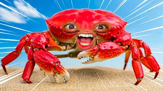 I Turned Myself INTO A CRAB.