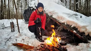 ФИНАЛ. Зимнее укрытие в лесу | Solo bushcraft | Бушкрафт | Snow camp