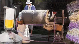 Lavender Harvest & Homemade Oil Distillation