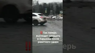 Путин в бункере, застрелись‼️