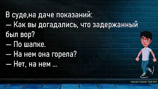 💎Идёт Мужик По Кладбищу...Большой Сборник,Смешных До Слёз Анекдотов,Для Супер Настроения!