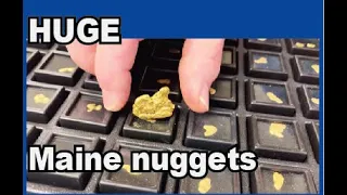 Huge Maine Gold Nuggets / Coos Canyon / Byron Maine