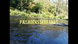 AVENTURA PELA SERRA #serra  #Valongo #montanha #portugal #porto #natureza #paisagem #caminhada