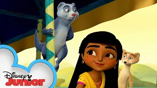 Mystery at the Food Festival | Mira, Royal Detective | @disneyjunior