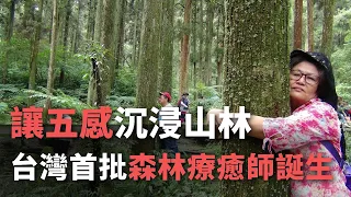 讓五感沉浸山林 台灣首批森林療癒師誕生【央廣新聞】