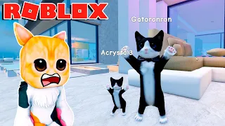 Me CONVIERTO en GATO y tengo un HIJO 😺 🐾 en roblox | Gatoronron