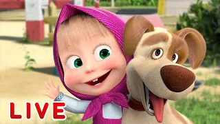 🔴 LIVE STREAM 🎬 Masha and the Bear 🐻👱‍♀️ The secret life of Masha's pets 🐷🐇