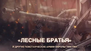 "Лесные братья"  и другие повстанческие армии Европы 1944-1957 года