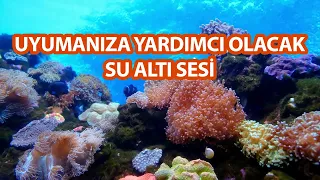 Uyumanıza Yardımcı Olacak Su Altı Sesi