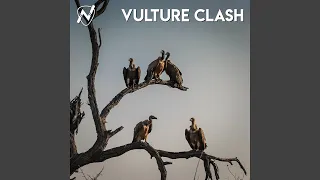 Vulture Clash