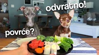Psi REAGUJU na Različitu Hranu!!