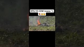 Rpg vs cow insane results #rpg #cow #shoot #military