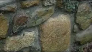 Rock wall Masonry,  tips to get you started! (See recent videos for more)