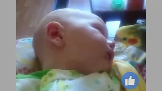 Cockatiel gives kisses and sings to a sleeping baby - funny cockatiel - funny animals