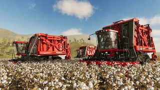 🚜 Farming Cotton  - Farming Simulator 19