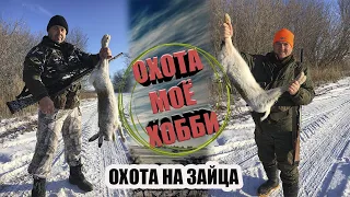 "Зайчатники" Поехали вдвоём взяли по зайцу и домой! Отличная охота на зайца получилась.