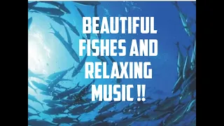 🎧 Stunning Aquarium & The Best Relaxing Music - SLEEP MUSIC - HD