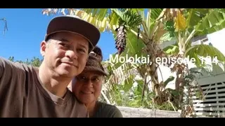 Molokai Life. Episode 124