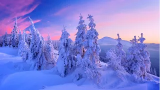 The Enchanting Beauty Of Winter Nature Under Very Gentle Calm Pleasant Relaxing Music!