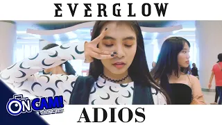[K-POP DANCE IN PUBLIC CHALLENGE] EVERGLOW (에버글로우) - Adios by EVERGLAM