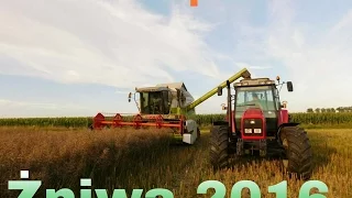 ● Żniwa Rzepakowe 2016● Z Claas'ą i Massey'em & Same● by RolTechOpolskie●