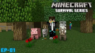 Let's Begin a New Journey | Minecraft Survival Series EP-01 🔥