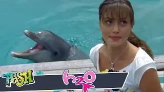 H2O: Enfermo de amor T1 E16 | PASH