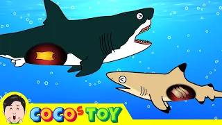 The blacktip shark raised megalodon eggㅣwhales & sharks for kidsㅣCoCosToy