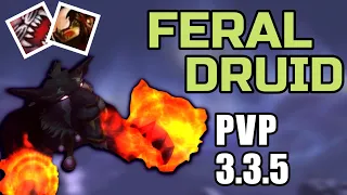 FERAL DRUID PVP 3.3.5 - BEGINNER GUIDE WARMANE WOTLK (Talents,Gear,Spells,Duels,Tips) 2020