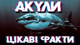 Цікаві факти про акул🦈🦈🦈 #акула #нападакули #китоваакула