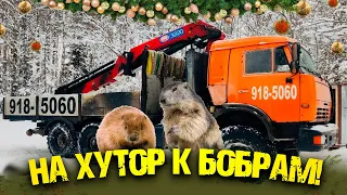На хутор к бобрам! | Coming to the Farm in the Realm of Beavers