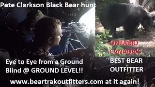 Bear hunting with Crossbow from Ground Blind in Ontario Canada archery kill @ Bear Trak Outfitters