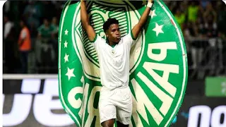 PALMEIRAS 1 X 0 NOVORIZONTINO VERDÃO VENCE COM GOL DE ENDRICK E ESTA NA FINAL