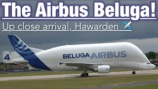 AIRBUS A300-600ST BELUGA CLOSE UP ARRIVAL AT HAWARDEN AIRPORT! + ATC CONVERSATION 🏴󠁧󠁢󠁷󠁬󠁳󠁿✈️