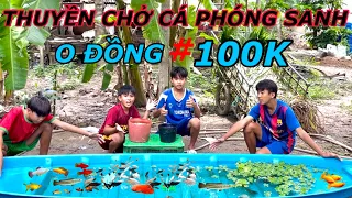 Bốc Thăm Chế Tạo Hồ Thủy Sinh 100k Và 0 Đồng Để Nuôi Cá Cảnh