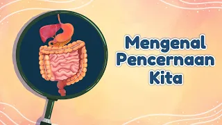 Sistem Pencernaan Manusia | Mengenal Pencernaan Kita | Sains | Video Edukasi | Video Belajar Anak