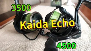 Kaida Echo. Хронические болезни.