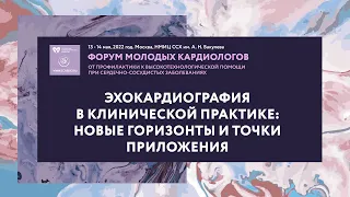 Эхокардиография в клинической практике: новые горизонты и точки приложения