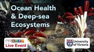 PIR Live Event - Deep-sea Ecosystems