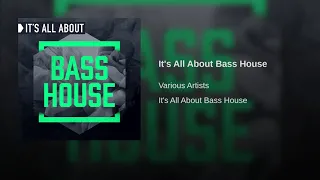 It's All About Bass House (Continuous DJ Mix 2)