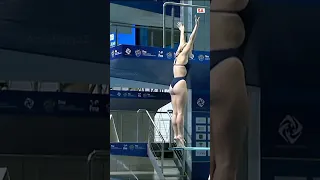 Mikaela Dietmann Beautiful Dive #diving #divingvideo #shorts