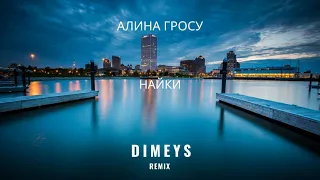 Алина Гросу - Найки (Dimeys Remix)