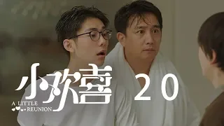 小歡喜 20 | A Little Reunion 20（黃磊、海清、陶虹等主演）