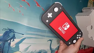 Почему купил Nintendo Switch lite?