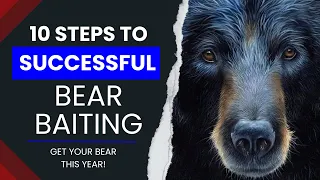 10 tips for bear baiting | How to bait bears
