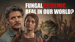 Could a fungus destroy humanity? / The Last of Us outbreak