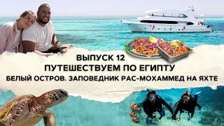 Дайвинг в Красном Море: заповедник «Рас Мохаммед» и Белый остров | Экскурсии в Шарм Эль Шейхе