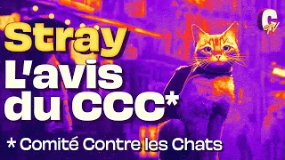 [TEST] Stray : Notre avis en 1 minute